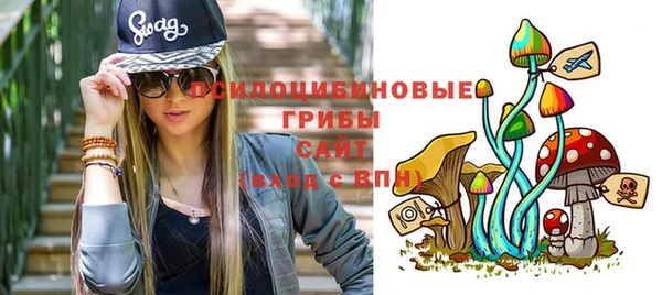 МДПВ Белокуриха