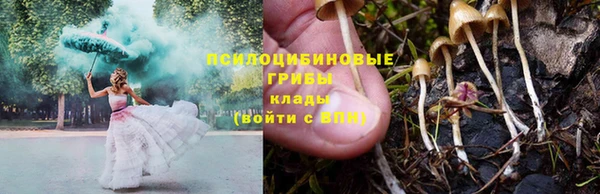 МДПВ Белоозёрский
